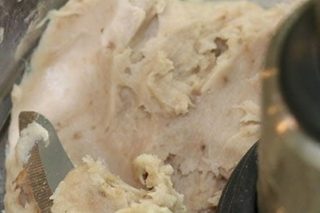 gelato fai da te con NSR 6