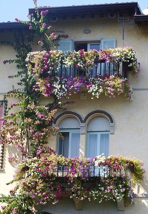 balcone fiorito da far invidia 39a56fecc10758e9bb713e29a2e4782f
