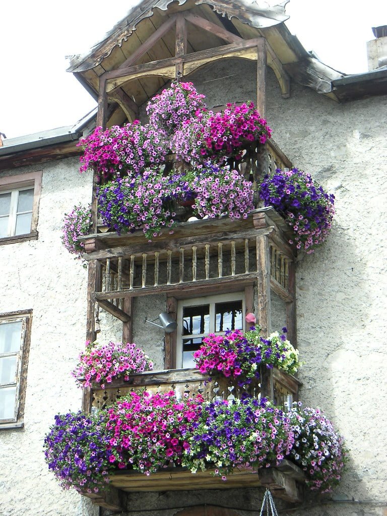 balcone fiorito da far invidia 5715013193 7d189d528c b