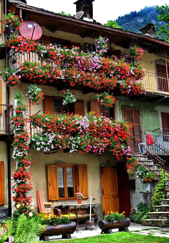 balcone fiorito da far invidia 8c487eceef9d1085152201929aafd823