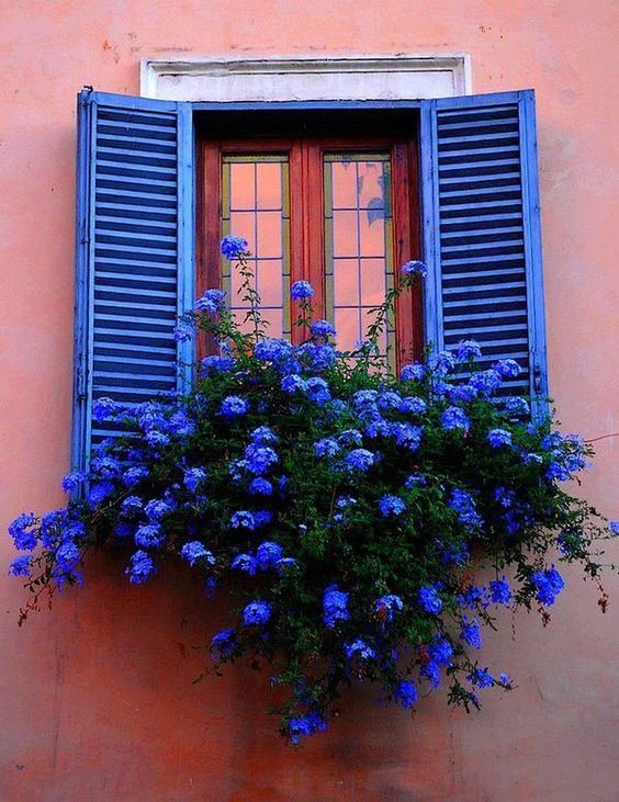 balcone fiorito da far invidia d0a579ab1cd141edc6aae83bc204f99f